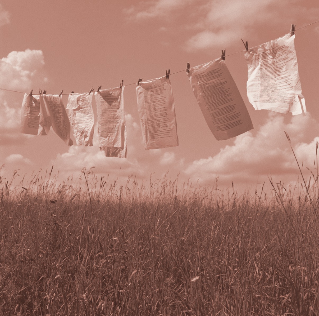 Pages hung on a clothesline in a field